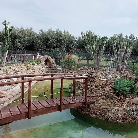Villa Michelangelo Кастелламмаре-дель-Голфо Экстерьер фото